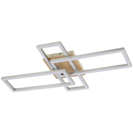 Rabalux - Plafoniera LED LED/24W/230V