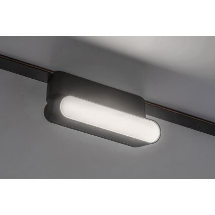 Rabalux - LED Plafoniera per binario monofase LED/6W/230V 4000K 11,5 cm nero