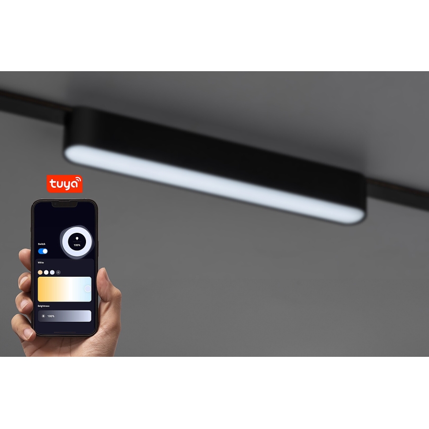 Rabalux - Plafonnier à intensité variable pour système de rail monophasé LED/12W/24V 2700-5500K Wi-Fi Tuya 22 cm noir