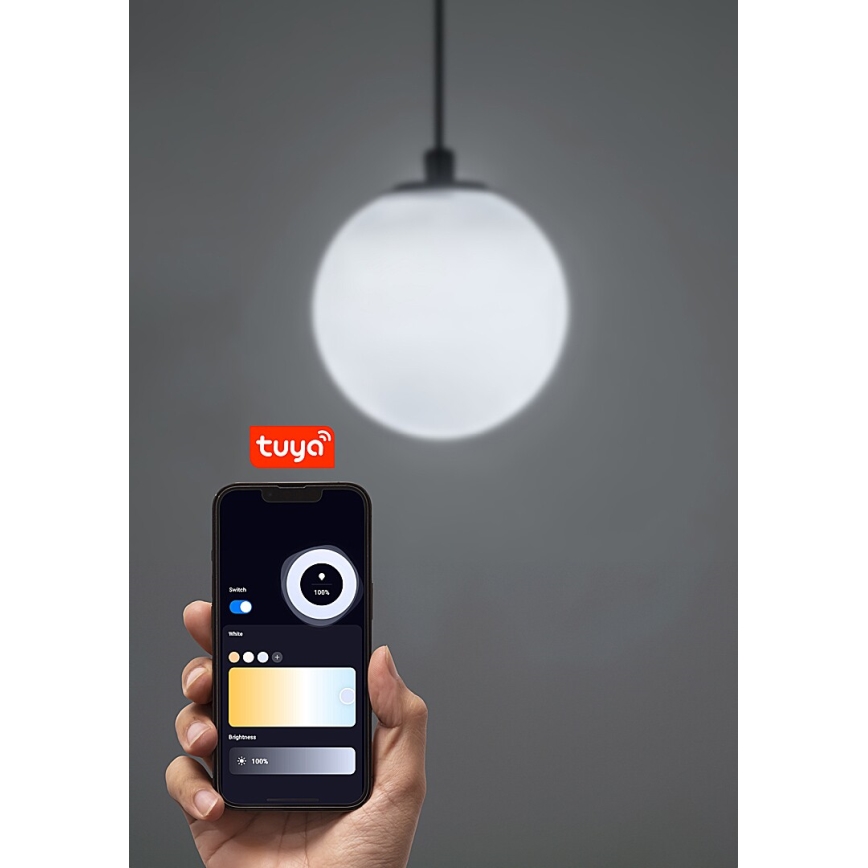 Rabalux - Suspension filaire à intensité variable pour système de rail monophasé LED/5W/24V 2700-5500K Wi-Fi Tuya noir
