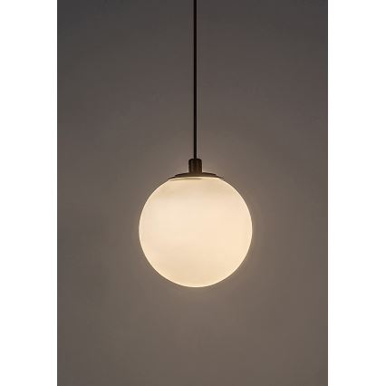 Rabalux - Suspension filaire à intensité variable pour système de rail monophasé LED/5W/24V 2700-5500K Wi-Fi Tuya noir