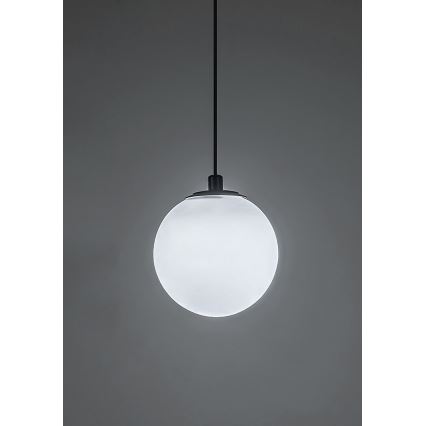 Rabalux - Suspension filaire à intensité variable pour système de rail monophasé LED/5W/24V 2700-5500K Wi-Fi Tuya noir