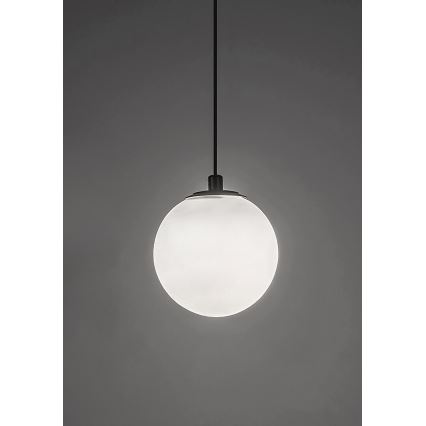 Rabalux - Suspension filaire à intensité variable pour système de rail monophasé LED/5W/24V 2700-5500K Wi-Fi Tuya noir