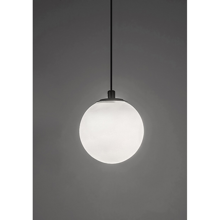 Rabalux - Suspension filaire à intensité variable pour système de rail monophasé LED/5W/24V 2700-5500K Wi-Fi Tuya noir