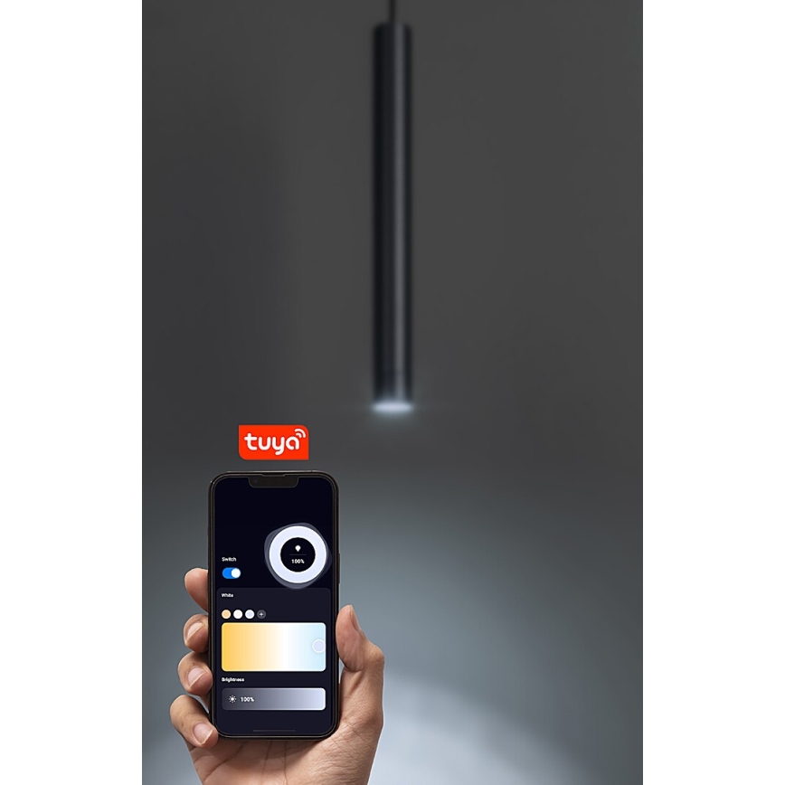 Rabalux - Lampadario a sospensione con filo LED dimmerabile per sistema ferroviario monofase LED/5W/24V 2700-5500K Wi-Fi Tuya nero