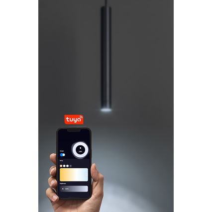 Rabalux - Suspension filaire à intensité variable pour système de rail monophasé LED/5W/24V 2700-5500K Wi-Fi Tuya noir
