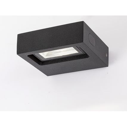 Rabalux - LED Außenwandleuchte LED/7W/230V IP65