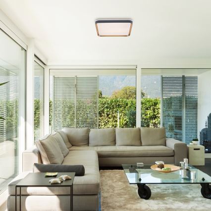 Rabalux - LED Deckenleuchte LED/26W/230V 3000K 39,5x39,5 cm