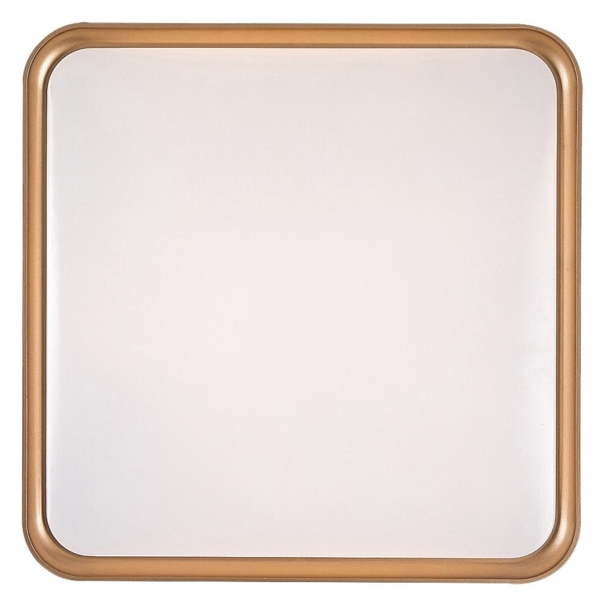 Rabalux - LED Deckenleuchte LED/26W/230V 3000K 39,5x39,5 cm