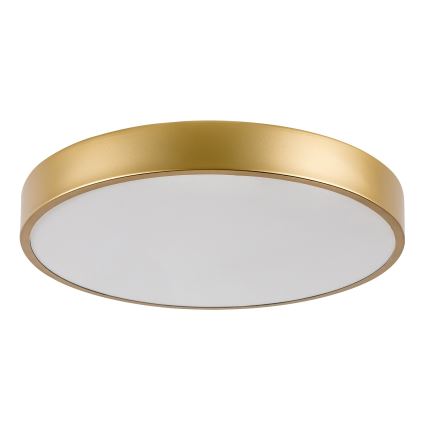Rabalux - Lampada da soffitto LED/36W/230V 3000K