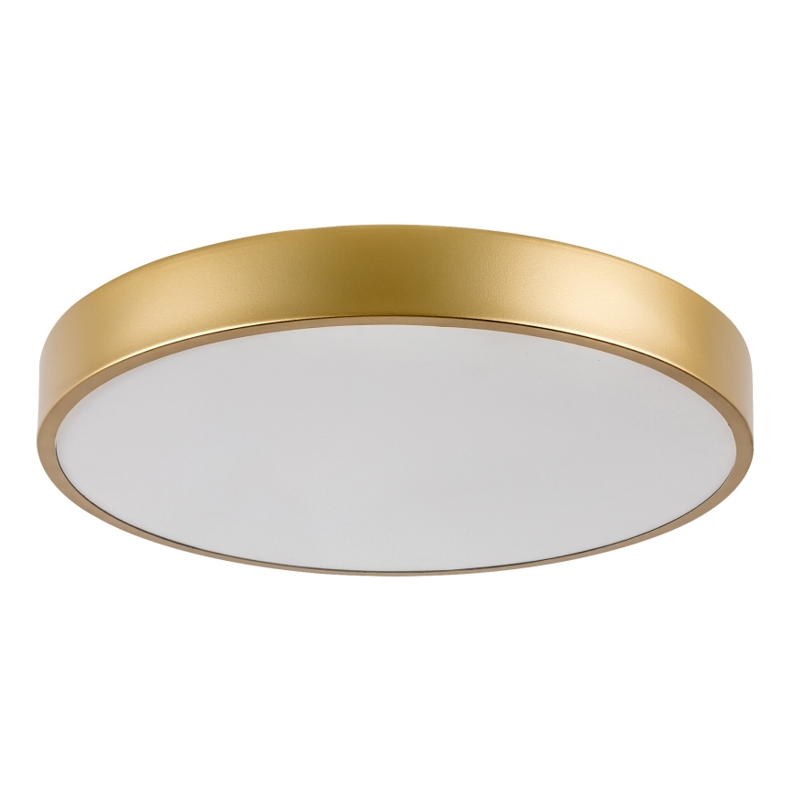 Rabalux - Lampada da soffitto LED/36W/230V 3000K