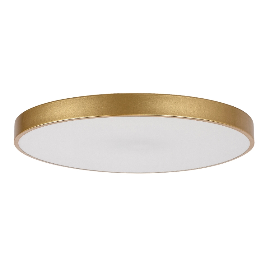 Rabalux - Lampada da soffitto dimmerabile a LED/60W/230V 3000-6000K con telecomando ø 60 cm