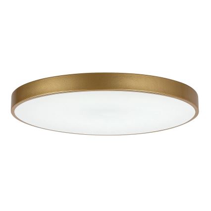 Rabalux - Lampada da soffitto dimmerabile a LED/60W/230V 3000-6000K con telecomando ø 60 cm