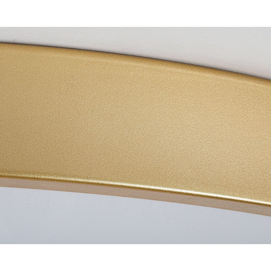 Rabalux - Plafoniera LED dimmerabile LED/60W/230V 3000-6000K + telecomando