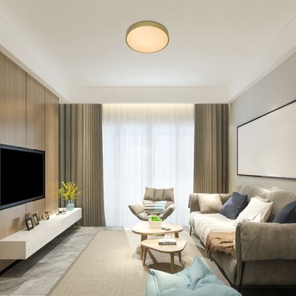 Rabalux - Plafonnier LED dimmable LED/60W/230V 3000-6000K + télécommande Ø 60 cm