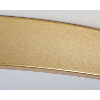 Rabalux - Plafonnier LED dimmable LED/60W/230V 3000-6000K + télécommande Ø 60 cm