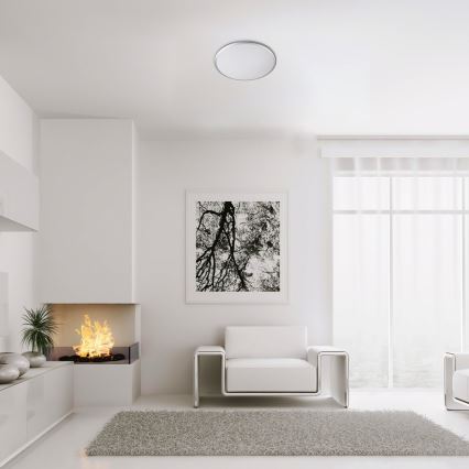 Rabalux - LED Deckenleuchte LED/18W/230V 4000K silber 27 cm