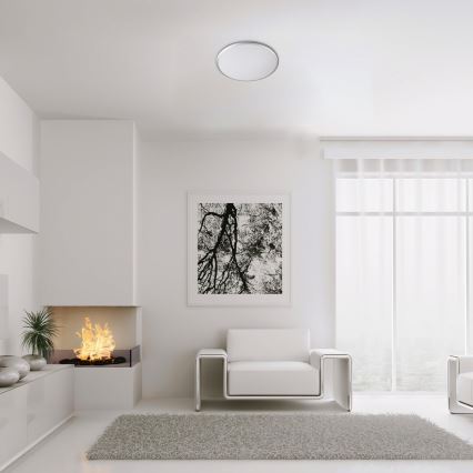 Rabalux - Lampada da soffitto LED LED/45W/230V 4000K argento 48 cm