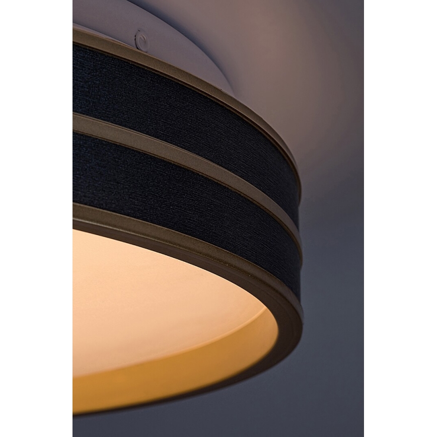 Rabalux - Plafoniera LED dimmerabile LED/24W/230V 3000-6500K + telecomando