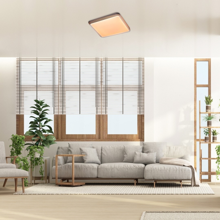 Rabalux - Plafonnier LED/40W/230V 3000K 48x48 cm