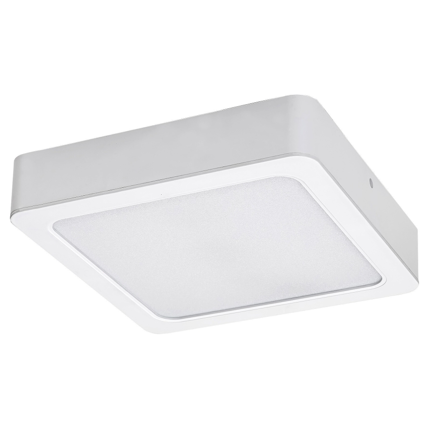 Rabalux - LED-Deckenleuchte LED/7W/230V 4000K 12x12 cm weiß