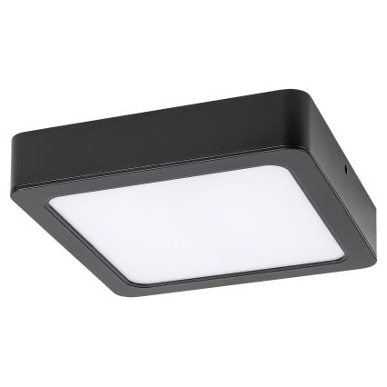 Rabalux - LED-Deckenleuchte LED/24W/230V 4000K 22x22 cm schwarz