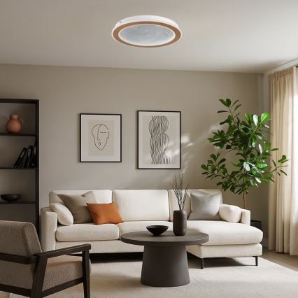 Rabalux - Plafonnier LED dimmable LED/24W/230V 3000-6500K ø 40 cm + télécommande