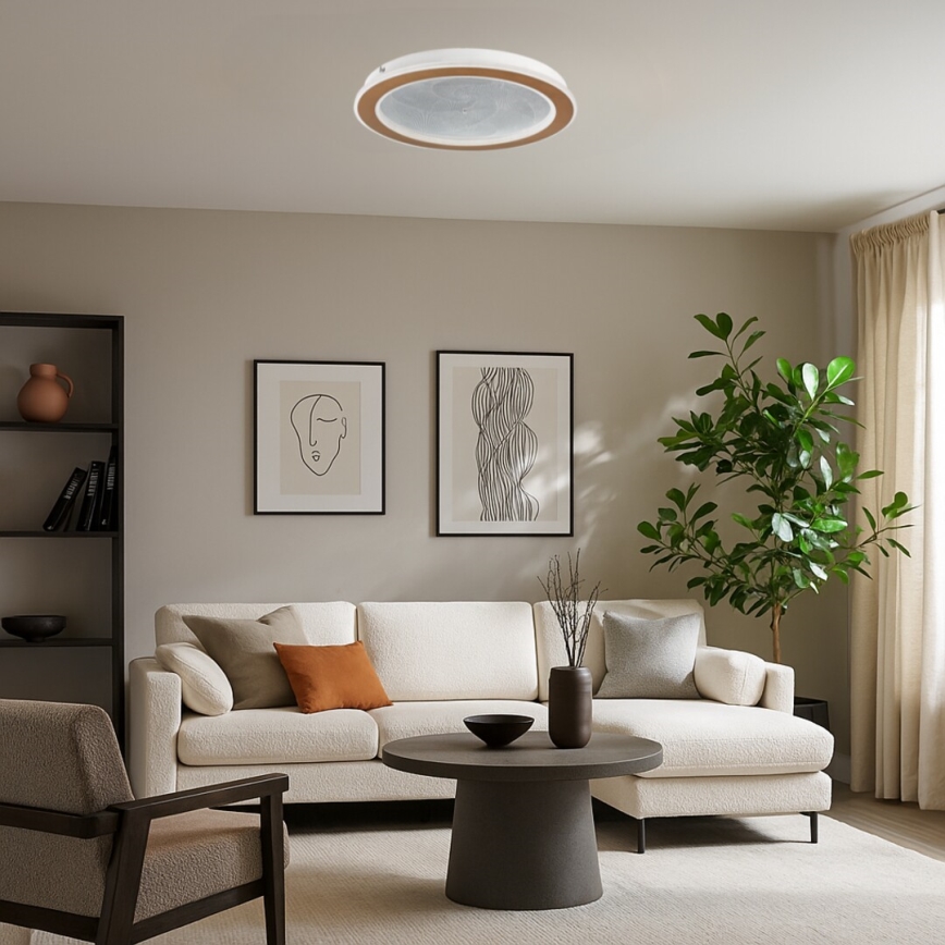 Rabalux - Plafonnier LED dimmable LED/24W/230V 3000-6500K ø 40 cm + télécommande