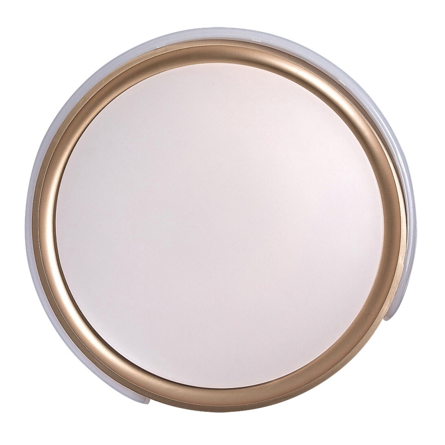 Rabalux - Plafoniera LED dimmerabile LED/48W/230V 3000-6500K + telecomando