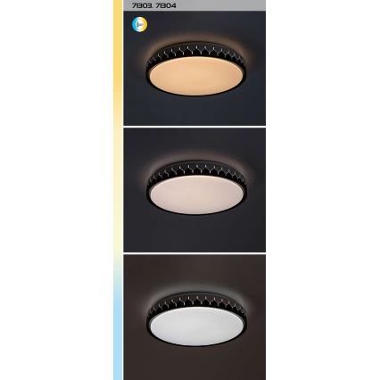 Rabalux - Plafoniera LED dimmerabile LED/48W/230V 3000-6500K + telecomando
