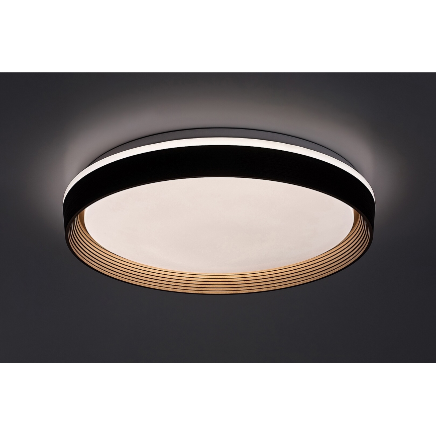 Rabalux - Plafoniera LED dimmerabile LED/48W/230V 3000-6500K + telecomando