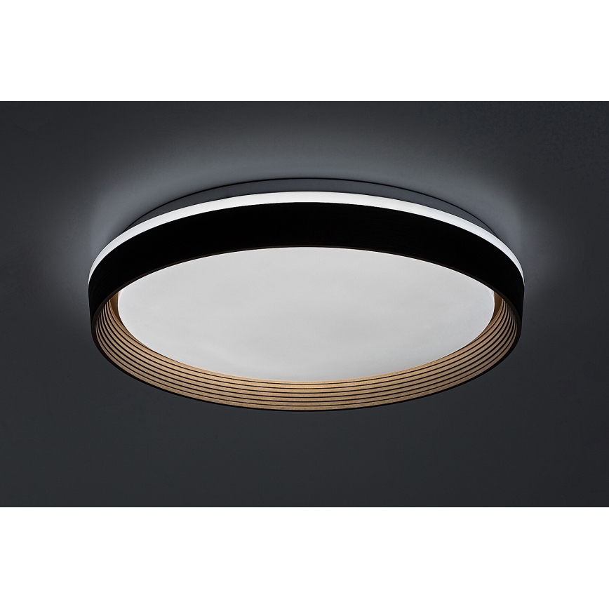 Rabalux - Plafoniera LED dimmerabile LED/48W/230V 3000-6500K + telecomando