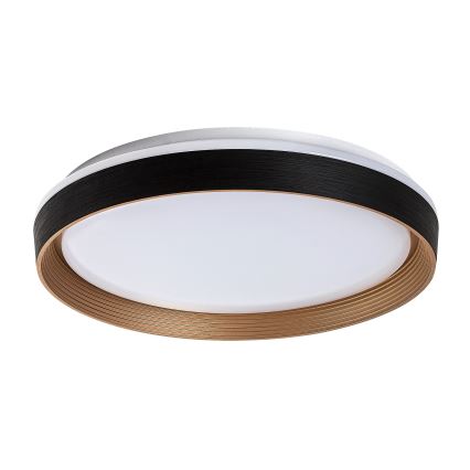 Rabalux - Plafoniera LED dimmerabile LED/48W/230V 3000-6500K + telecomando