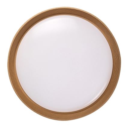 Rabalux - Plafoniera LED dimmerabile LED/48W/230V 3000-6500K + telecomando