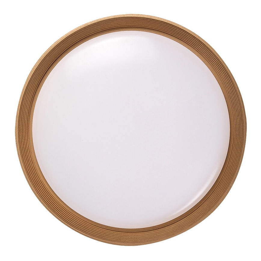 Rabalux - Plafoniera LED dimmerabile LED/48W/230V 3000-6500K + telecomando
