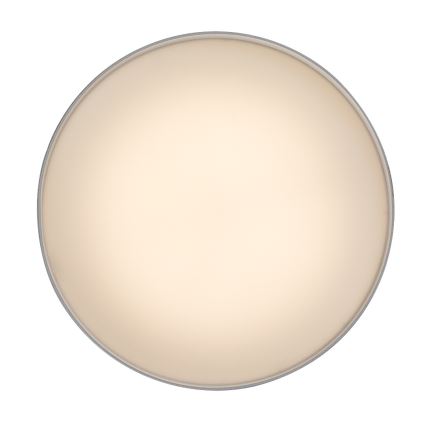 Rabalux - Plafoniera LED LED/24W/230V 3000K bianco