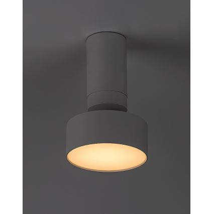 Rabalux - LED-Deckenleuchte LED/10W/230V 3000K weiß