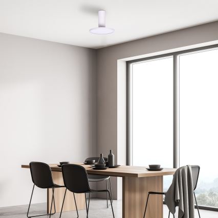 Rabalux - Plafonnier LED/20W/230V 3000K blanc Ø 20 cm