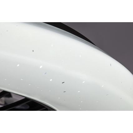 Rabalux - Plafonnier à intensité variable avec ventilateur LED/48W/230V 3000-6500K + Télécommande