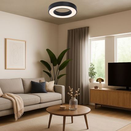 Rabalux - Plafonnier LED/24W/230V 3000/4000/6500K Ø 40 cm noir