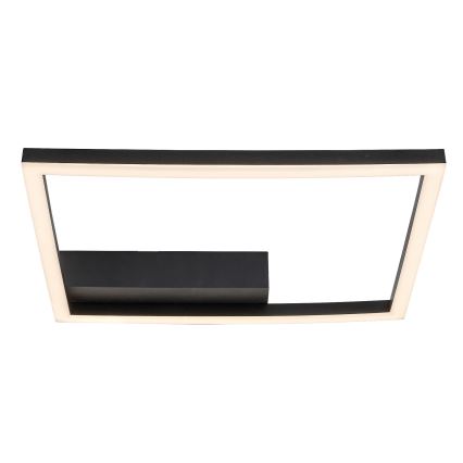 Rabalux - LED-Deckenleuchte LED/24W/230V 3000K