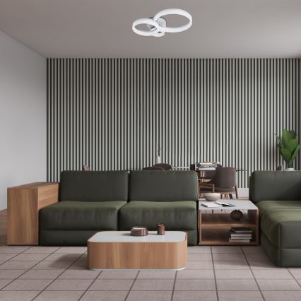 Rabalux - LED-Deckenleuchte LED/24W/230V 3000/4000/6500K 38x51 cm mattierter Chrom