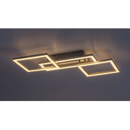 Rabalux - Plafoniera da soffitto LED dimmerabile LED/40W/230V 3000-6500K 45x55 cm + telecomando