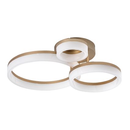 Rabalux - Plafoniera LED LED/24W/230V 3000/4000/6500K oro