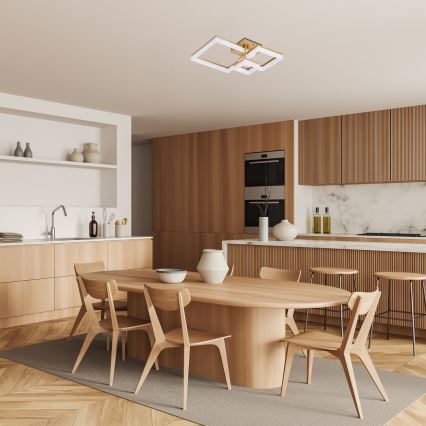 Rabalux - Plafoniera LED LED/22W/230V 3000/4000/6500K oro