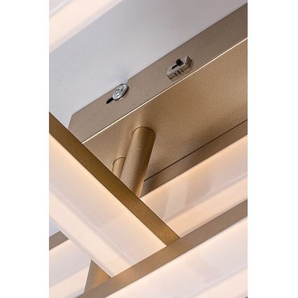 Rabalux - Plafoniera LED LED/22W/230V 3000/4000/6500K oro