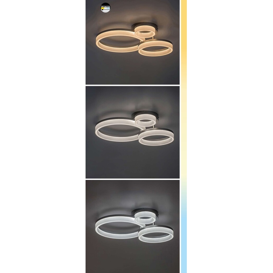 Rabalux - Plafoniera LED LED/24W/230V 3000/4000/6500K nero