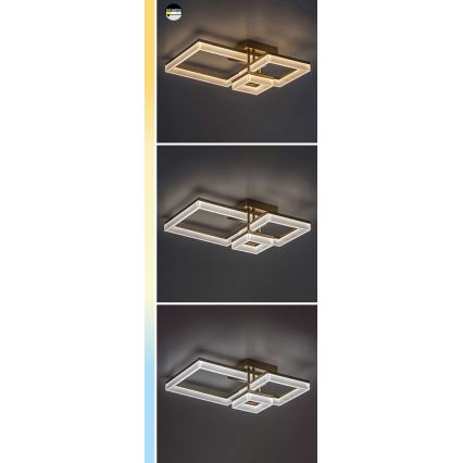 Rabalux - Plafoniera LED LED/22W/230V 3000/4000/6500K nero