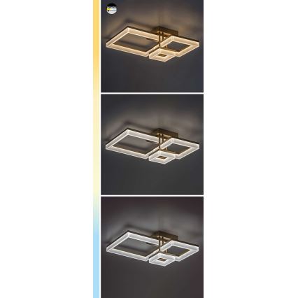 Rabalux - Plafoniera LED LED/22W/230V 3000/4000/6500K cromo opaco
