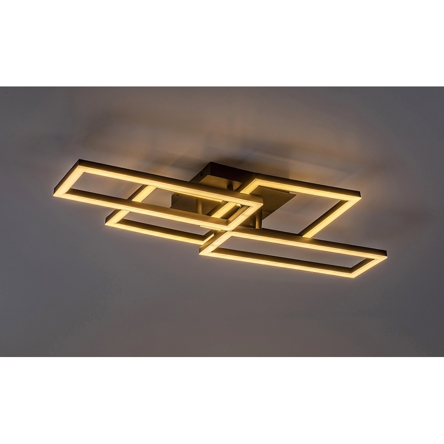 Rabalux - Plafoniera LED dimmerabile LED/40W/230V 3000-6500K + telecomando